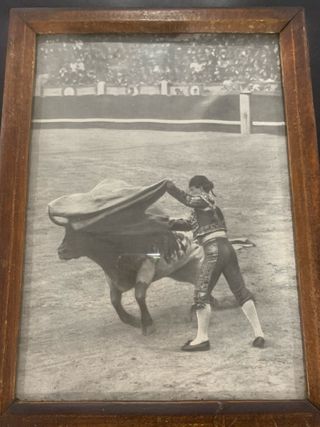 Reproducción Fotografía Taurina