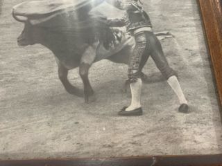 Reproducción Fotografía Taurina