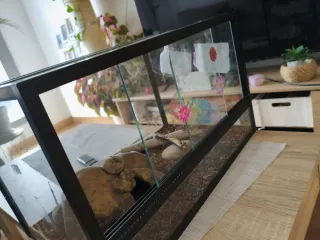 Terrario para reptiles