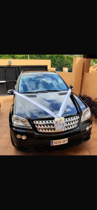 Mercedes-Benz Clase M 2009