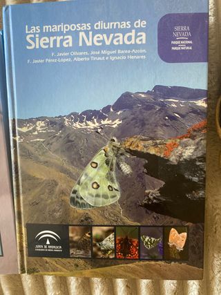 Las mariposas diurnas de Sierra Nevada