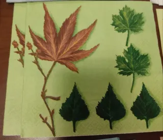 Lotto 38 tovaglioli decoupage