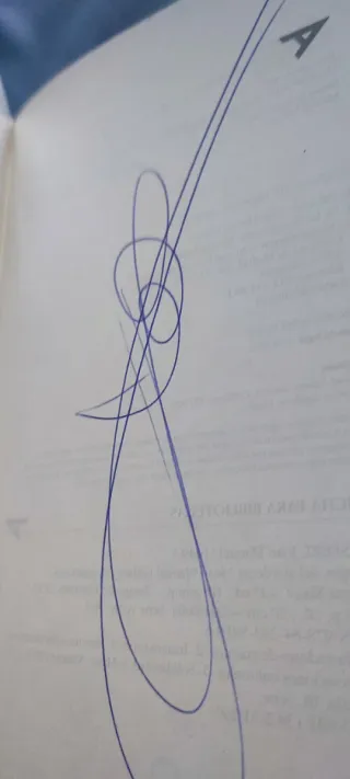 Magos del atardecer (Ala delta: serie verde/ Ha...