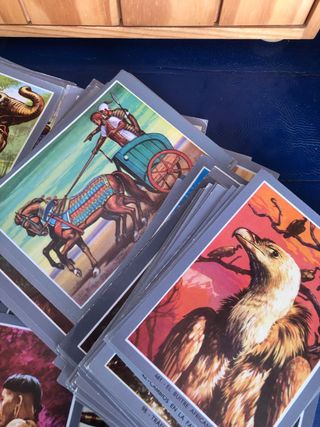 Cromos Vida y Color 2 mas de 160 cromos