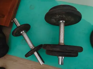 Lote de barra, mancuernas y pesas musculación