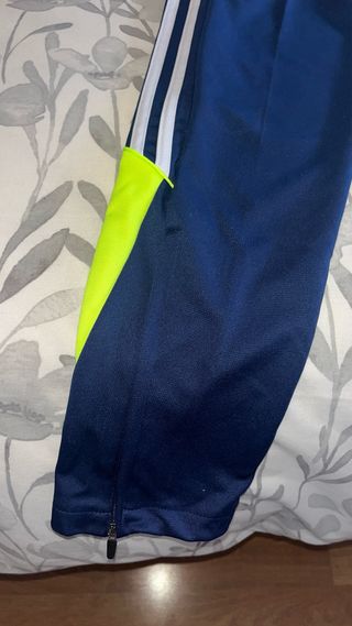 Chándal Real Madrid Adidas Azul