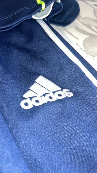 Chándal Real Madrid Adidas Azul
