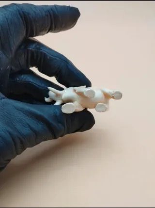 Elefante tallado a mano