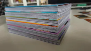 El verano en que Hikaru murió