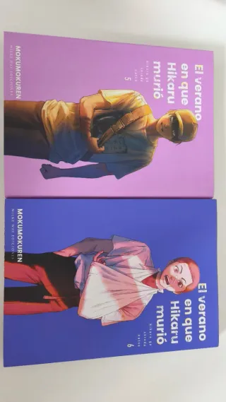 El verano en que Hikaru murió