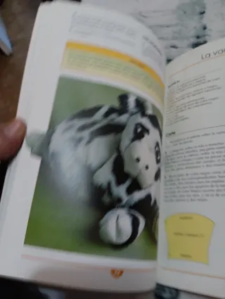 Cómo realizar peluches y muñecos de trapo