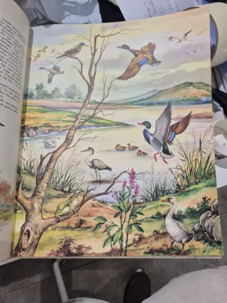 Cuatro cuentos de Andersen