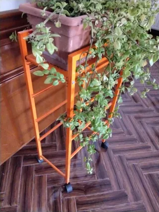 Planta con jardinera y mueble metálico