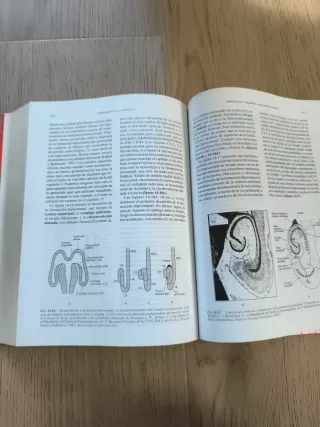 FISIOLOGIA DE LA CONDUCTA