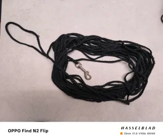 Correa de adiestramiento para perros negra