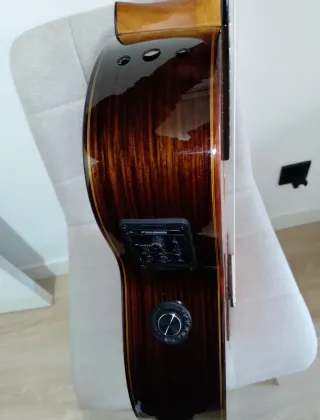 Guitarra española doble amplificación