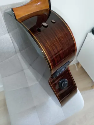Guitarra española doble amplificación