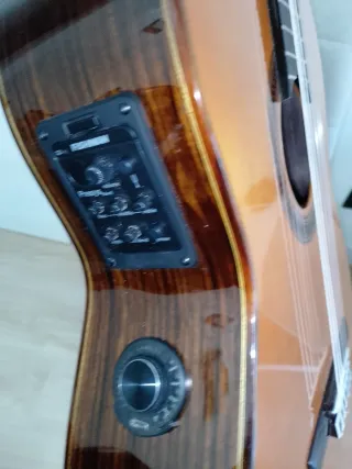 Guitarra española doble amplificación