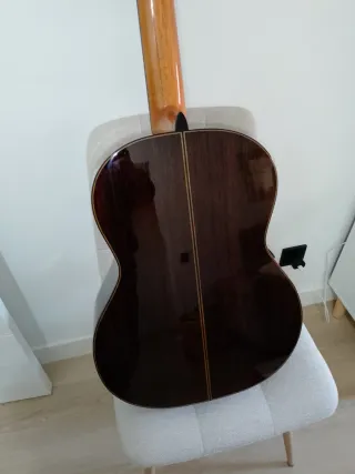 Guitarra española doble amplificación