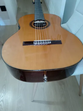 Guitarra española doble amplificación
