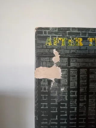 Neil Young After The Gold + janis joplin RESERVADO