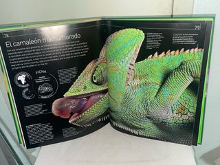 Animales a Través Del Zoom