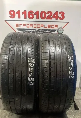 *255 50 19 V PIRELLI RUEDA ECONOMICA BARATA