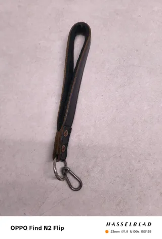 Lote Accesorios Perros: Collares y Correa