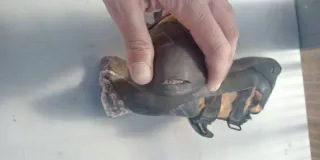 Pies de gato Five Ten Anasazi Pro velcro