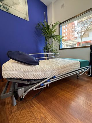 Pareja de Barandillas Geriátricas