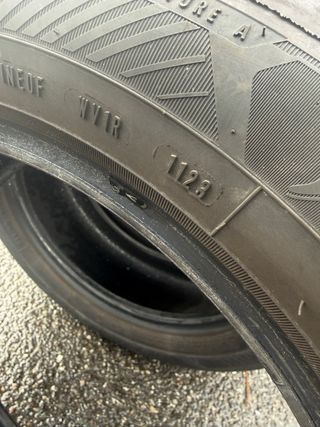 Neumáticos Goodyear 205/55/16 91V