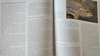 Libro pesca