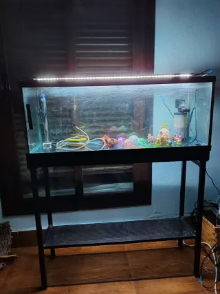 Acuario 160L con mueble de hierro