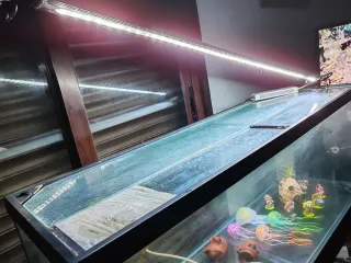 Acuario 160L con mueble de hierro