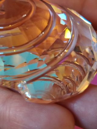 Set 4 Cristalli Swarovski Conchiglie Stella Marina