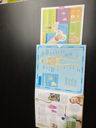 El cuerpo humano (Para aprender más sobre) (Spa...