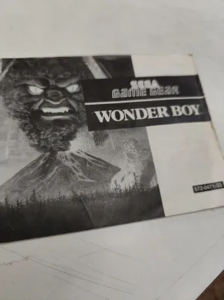 Wonder Boy Sega Game Gear