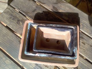 Lote 3 macetas bonsai cerámica