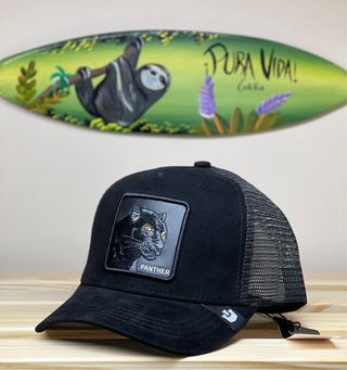 Gorra Goorin Bros Pantera Negra