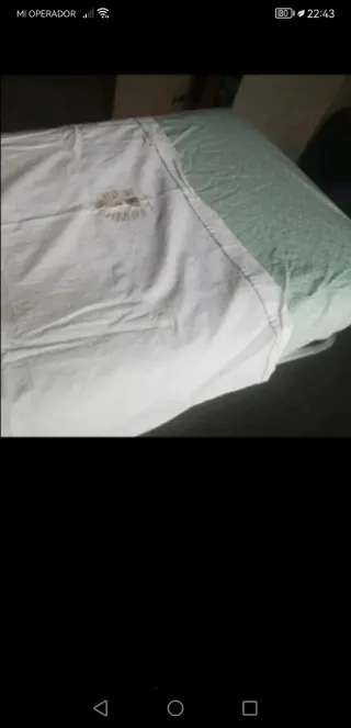 Lote Bimbi Dreams Happy Erizo: Saco Nórdico+sabana