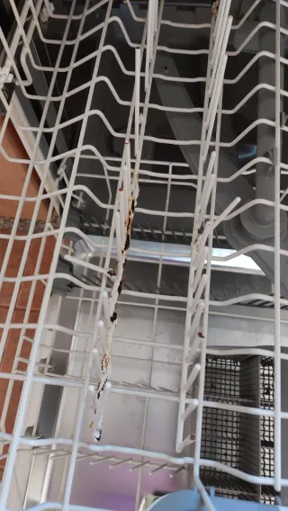 Lavavajillas Bosch Blanco