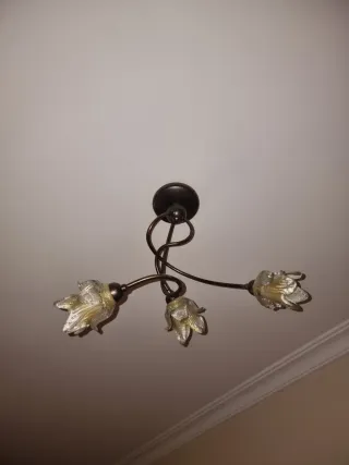 Lámparas de techo forja flores