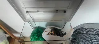 Pecera 60L + Accesorios