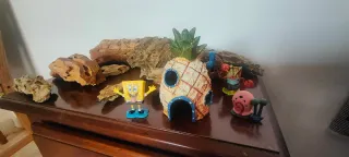 Pecera 60L + Accesorios