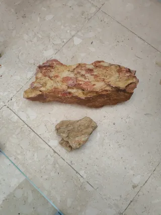 Pecera 60L + Accesorios