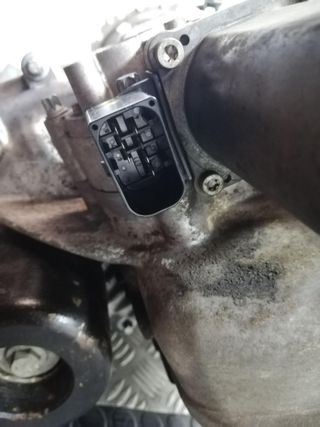 CAJA CAMBIOS LAND ROVER RANGE ROVER (LM) 1068020075 2006 -