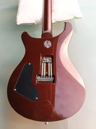 Guitarra PRS Standard SE