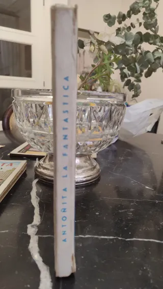 Libro Antoñita La Fantástica