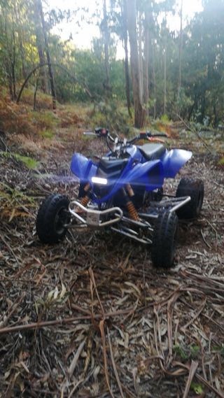 Quad Gas Gas wild 450hp