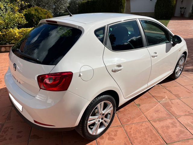 SEAT Ibiza COPA 2011